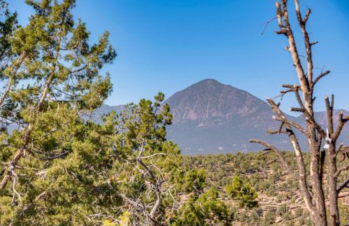 Cortez Casa | 12 Mi to Mesa Verde Natl Park Family Gem with Yard