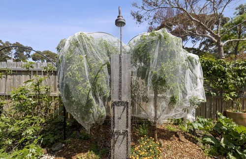 Anglesea Casa | 15 Noble Street Summa