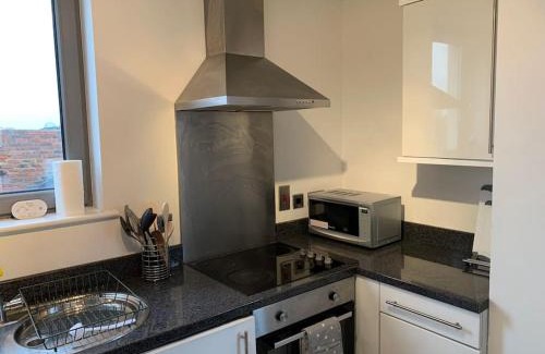 Darlington Apartamento | 16 Vincent House