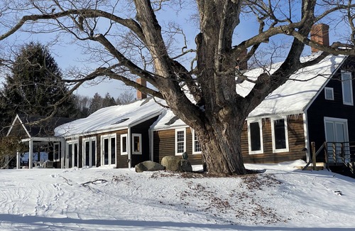 Williamsville Casa | Hilltop Haven: un final de un escondite en un camino de tierra donde puedes relajarte y descansar.