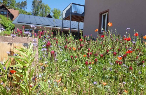 Fischbach bei Dahn Apartamento | 180 m² Apartamento ∙ 4 habitaciones ∙ 8 huéspedes