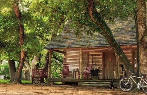 Cat Spring Cabina | 1800-style cedar Log Cabin on Blisswood Ranch with many optional activities!