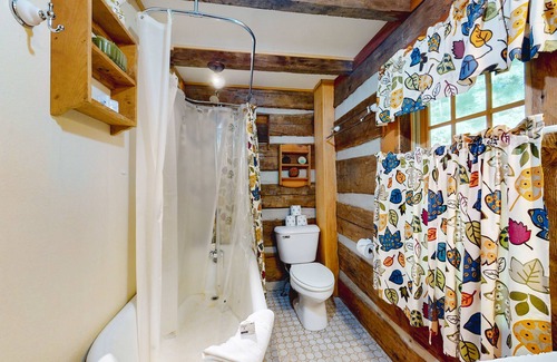Lake Junaluska Cabina | 1800s dog-friendly cabin in Waynesville with shared amenities