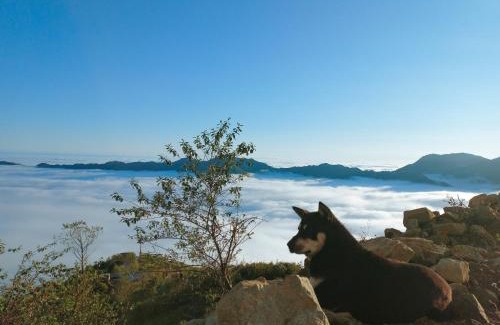Bac Yen Apartamento | 1941M Homestay Tà Xùa