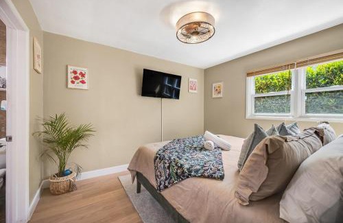 Pacific Beach Apartamento | 1BD Heart of PB Pet Friendly Private Sanctuary