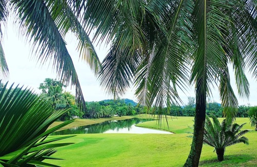Sa Khu Condominio | 1bedroom Apart Infinity Pool Walk to Beautiful Naiyang Beach