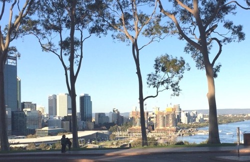 West Perth Apartamento | 1bedroom extremely spacious 5*location kings park apartment. walk to CBD