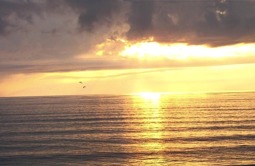 Bostroms Complejo | 1BR en Oceanfront Resort con piscina, playa, WiFi gratis y atracciones cercanas.