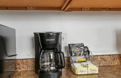 Chicago Apartamento | 1BR Vibrant & Inviting Apt in Chicago - Montrose 2E