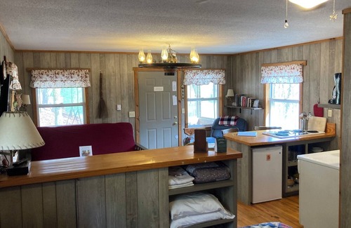 Brevard Cabina | 1BR Woodspirit's Retreat