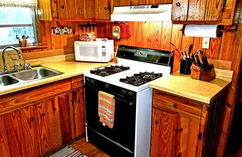 Steinhatchee Cabina | 2/1 frente al río! Cabaña-Chimeneas-Balcón-Naturaleza-Pesca-Golfo de México