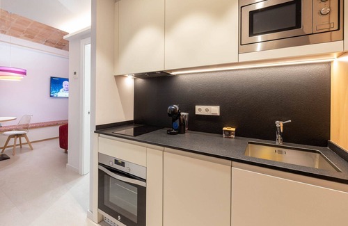 Figueres Apartamento | 2-3 CANIGÓ - STANDARD APARTMENT