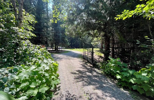 Blanchard Cabina | 2 Adjacent Cabins near Silverwood w/ Vintage Ice Cream Parlor + Movie Theater