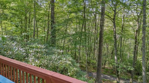 West Jefferson Casa | 2 Bd Cabin with Hot Tub, Direct Hiking Trail to New River