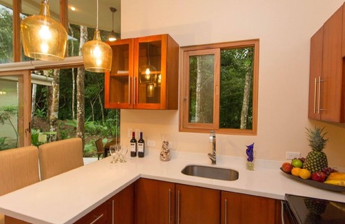 Valle Pura Vida Villa | Luxery 2 Bd Villa Mono Titi # 2 en Rio Mono, Valle Pura Vida, Manuel Antonio