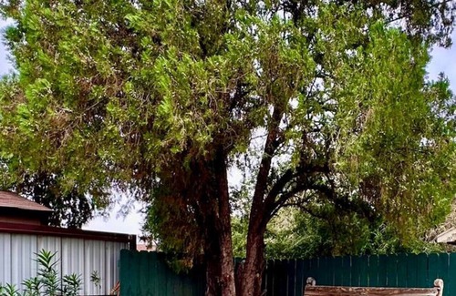 Las Cruces Apartamento | 2 bd w/lrg fenced yard 3 mins from farmers market