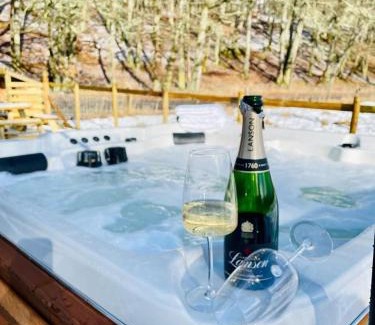 Stirling Casa | 2 bed lodge with private hot tub in Aviemore
