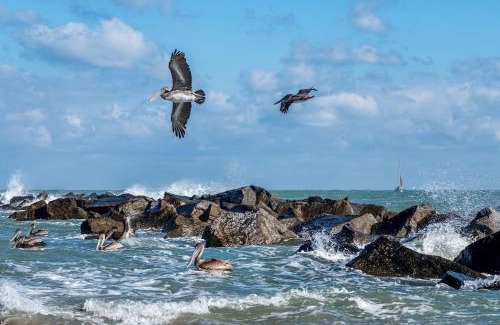 Fort Pierce Apartamento | 2 Bedroom-1.5 Bath Apartment Steps away from Beach & Inlet d