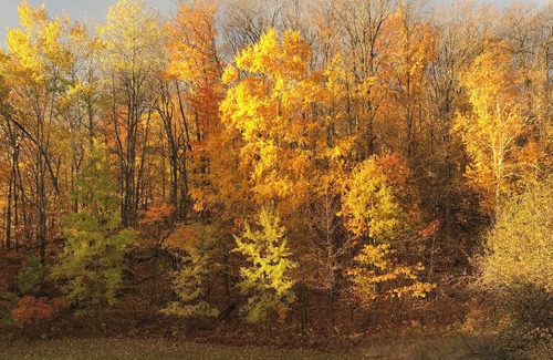 Boyne Falls Complejo | 💕🌼🌸 2 bedroom 2 bath suite at Boyne Mountain 2 nights.