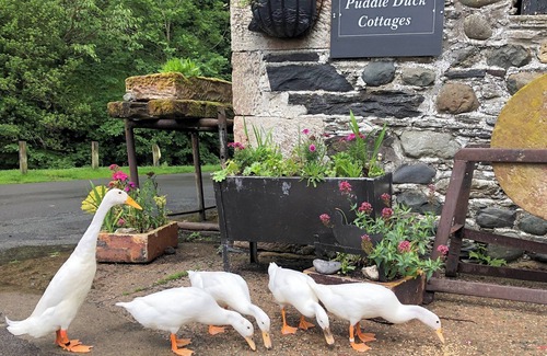 Bassenthwaite Cabaña | 2 bedroom accommodation in Bassenthwaite
