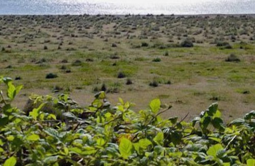Kessingland Cabaña | 2 bedroom accommodation in Kessingland