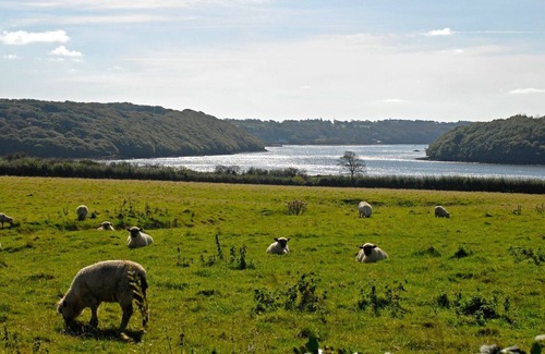 Kilgetty Cabaña | 2 bedroom accommodation in Lawrenny