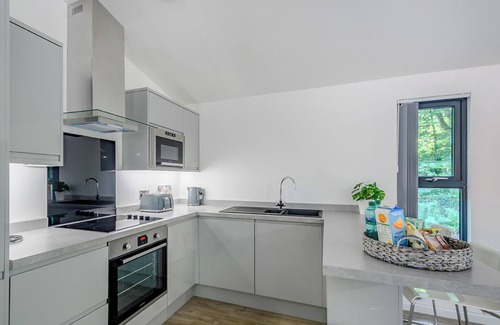 Annbank Chalet De Esquí | Alojamiento de 2 habitaciones en Annbank, Ayr