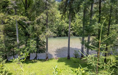 Presika Casa | 2 Bedroom Amazing Home In Delnice
