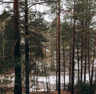 Myyrmaki Apartamento | 2 bedroom apartment, parking, metro, Vantaa