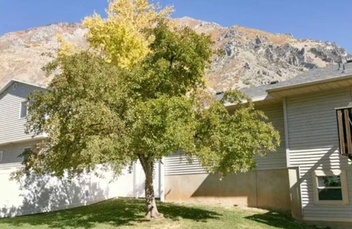 Springville Apartamento | 2 Bedroom Basement Apartment in Springville