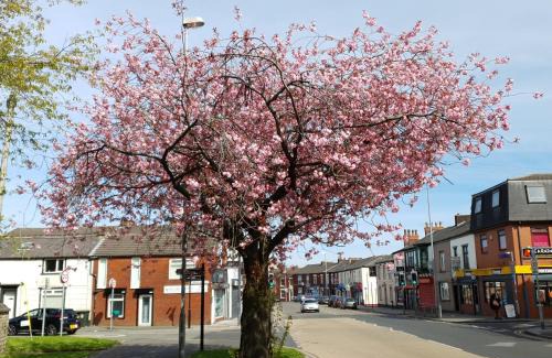 Rochdale Apartamento | 2 Bedroom Flat Free Parking Fast Wi-Fi Self Check-in Visit Manchester Oldham Bury