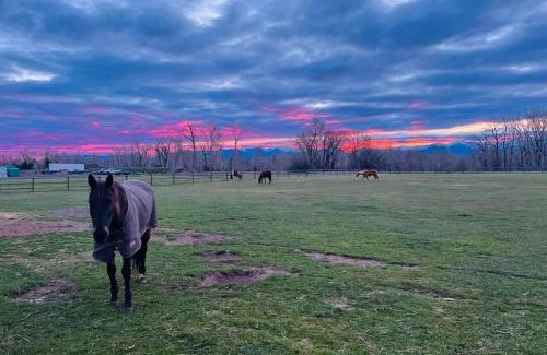 Bozeman Apartamento | 2 Bedroom Loft on Horse, Goat, Donkey and Cow Farm