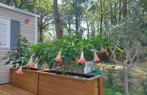 Marcilly-sur-Eure Casa | 2 bedroom private vacation home in marcilly-sur-eure