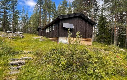 Asnes Municipality Casa | 2 Bedroom Stunning Home In Kirkenær