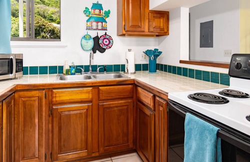 Estate Pastory Apartamento | 2 Bdrm w/ Car, Pool, & AC in Cruz Bay, STJ