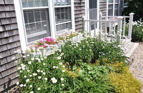 Nantucket Town Cabaña | 2 dormitorios y buhardilla - capacidad para 6 personas en camas - 5 cuadras de centro de la ciudad