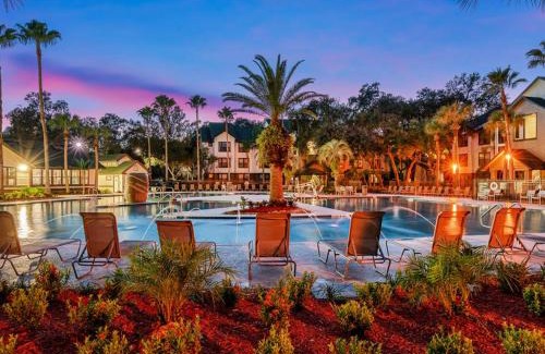 Bearss Plaza Apartamento | 2 MI to USF Pet Friendly & Budget Friendly
