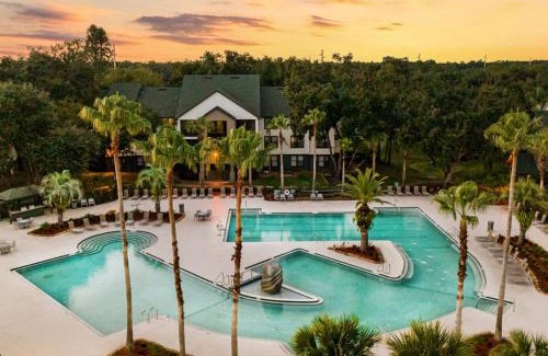 Bearss Plaza Apartamento | 2 MI to USF Pet Friendly & Budget Friendly