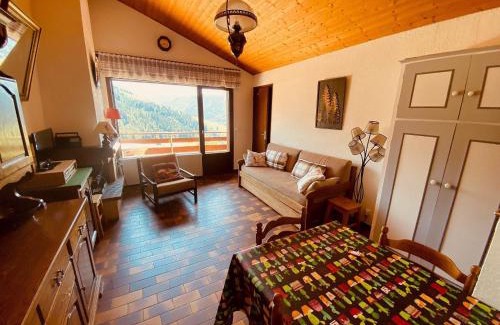 La Clusaz Apartamento | 2 pièces cabine sans prétention avec balcon et parking - FR-1-459-47