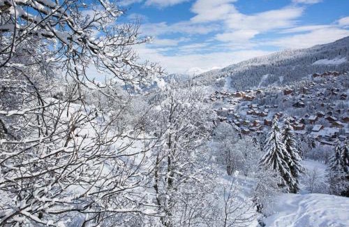 Meribel-Mottaret Apartamento | 2 PIECES DE CHARME, EXPOSITION SUD, SUR LES PISTES - FR-1-182-51