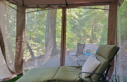 Guerneville Cabina | 2 Rms. Silent Redwoods. Pet OK