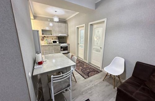 Bishkek Apartamento | 2-room apartment Tynystanova 94