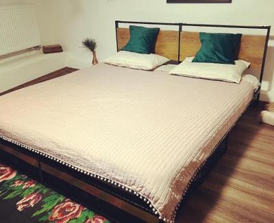 Saschiz Casa | 2 Rooms Cozy Apartment at Harmony Farmhouse 444