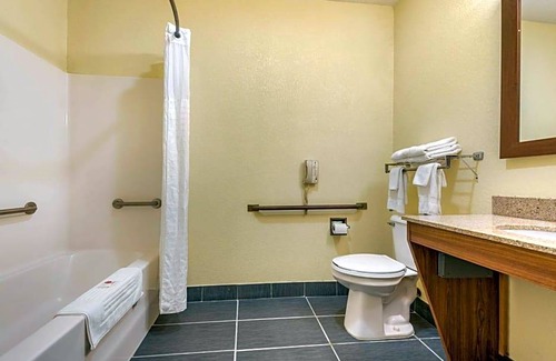 Warren Hotel | Hotel de 3 estrellas ∙ Comfort Inn Warren I-69