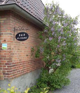 Haren Cama Y Desayuno | 20 m² Bed & Breakfast ∙ 2 huéspedes