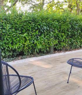 Sainte-Soulle Cama Y Desayuno | 20 m² Bed & Breakfast ∙ 2 huéspedes
