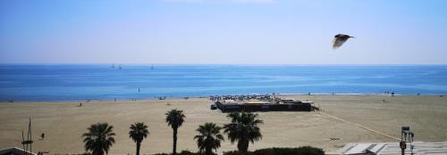 La Cote Radieuse Apartamento | 20 m2 de terrasse face à la mer à Canet en Roussillon