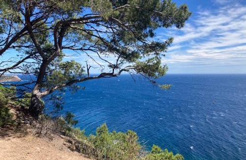 Giens Apartamento | 200 m de la plage jardin calme