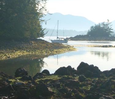 Ucluelet Apartamento | 203 at Water's Edge