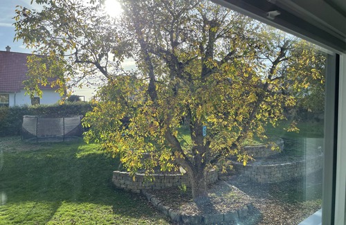 Haunsheim Casa | 25 minutes from LEGOLAND - holiday home for (large) families or groups